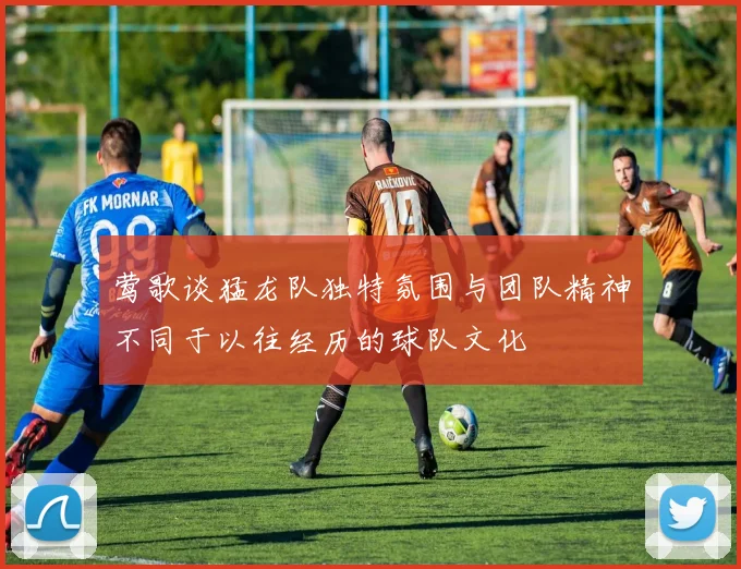 莺歌谈猛龙队独特氛围与团队精神不同于以往经历的球队文化