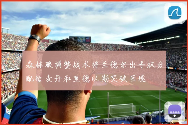 森林狼调整战术将兰德尔出手权分配给麦丹和里德以期突破困境